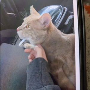 Meet your Posher, Patricia